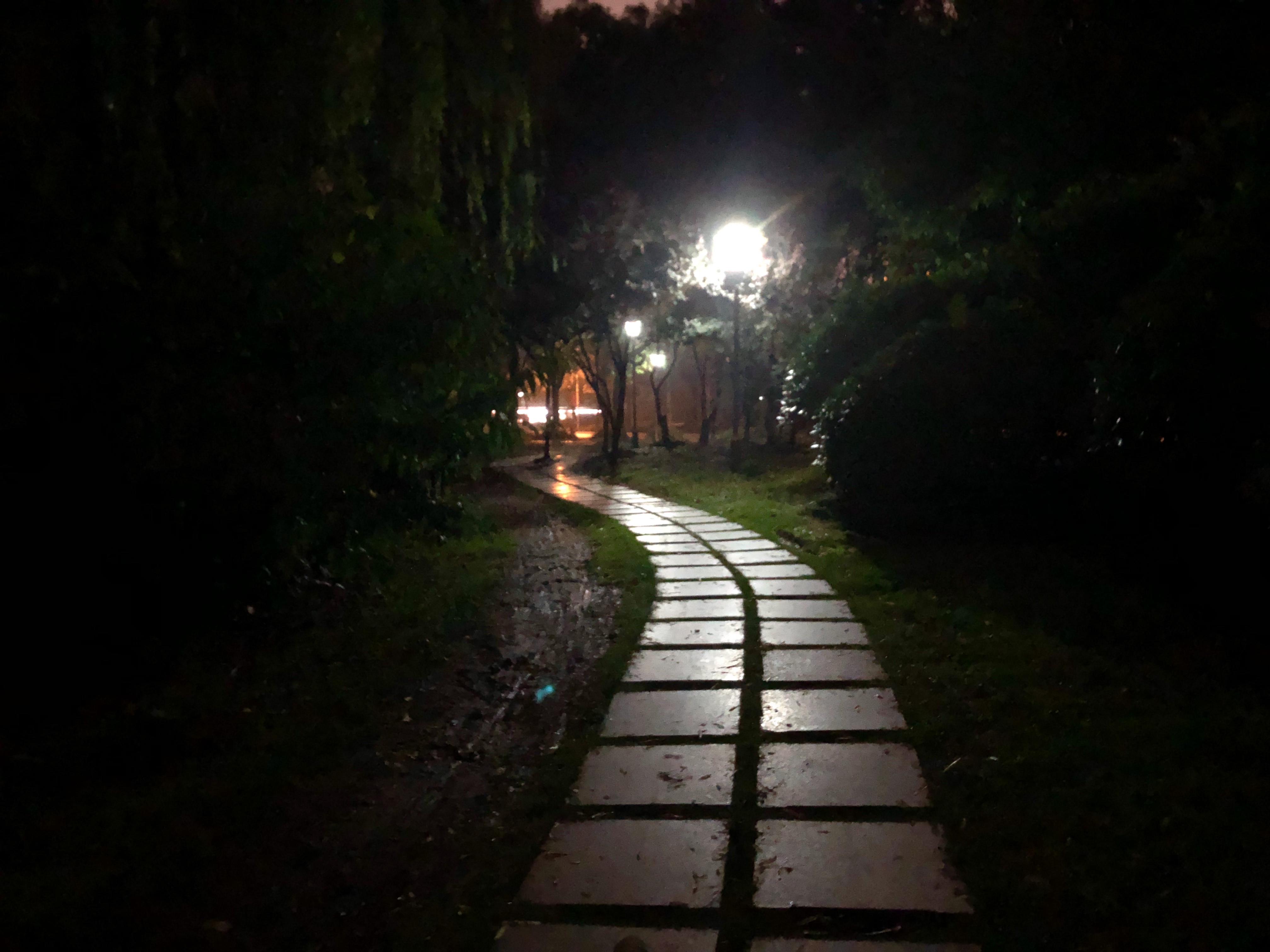 夜晚校园的小路